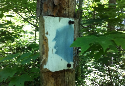 Old signage for the John Muir Trail, Big South Fork - 19